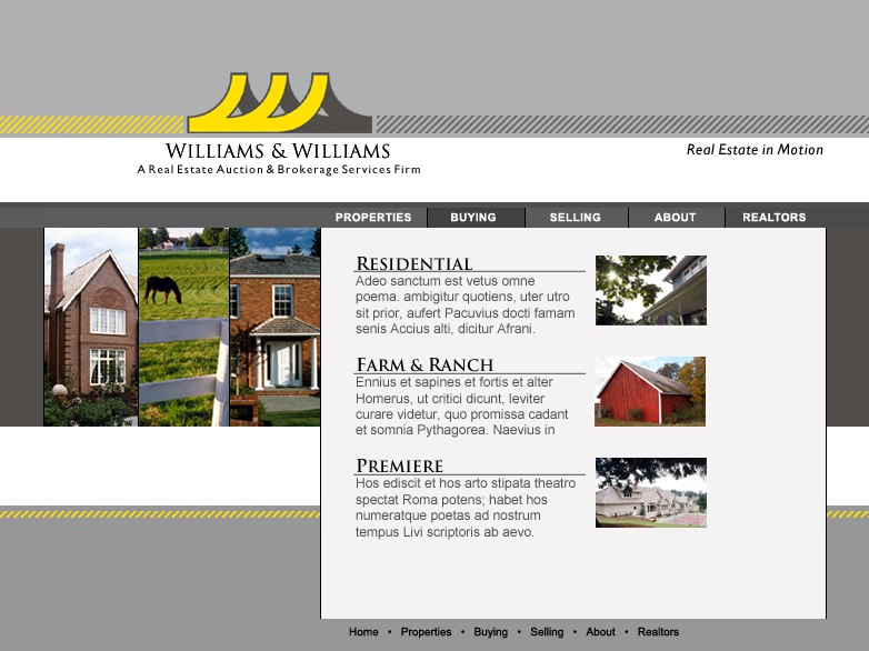 Williams & Williams auction platform screenshot